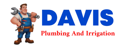 Trusted plumber in LANE